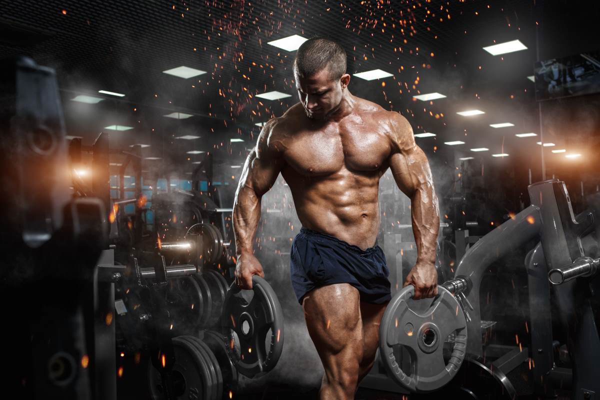 Creapure Palestra